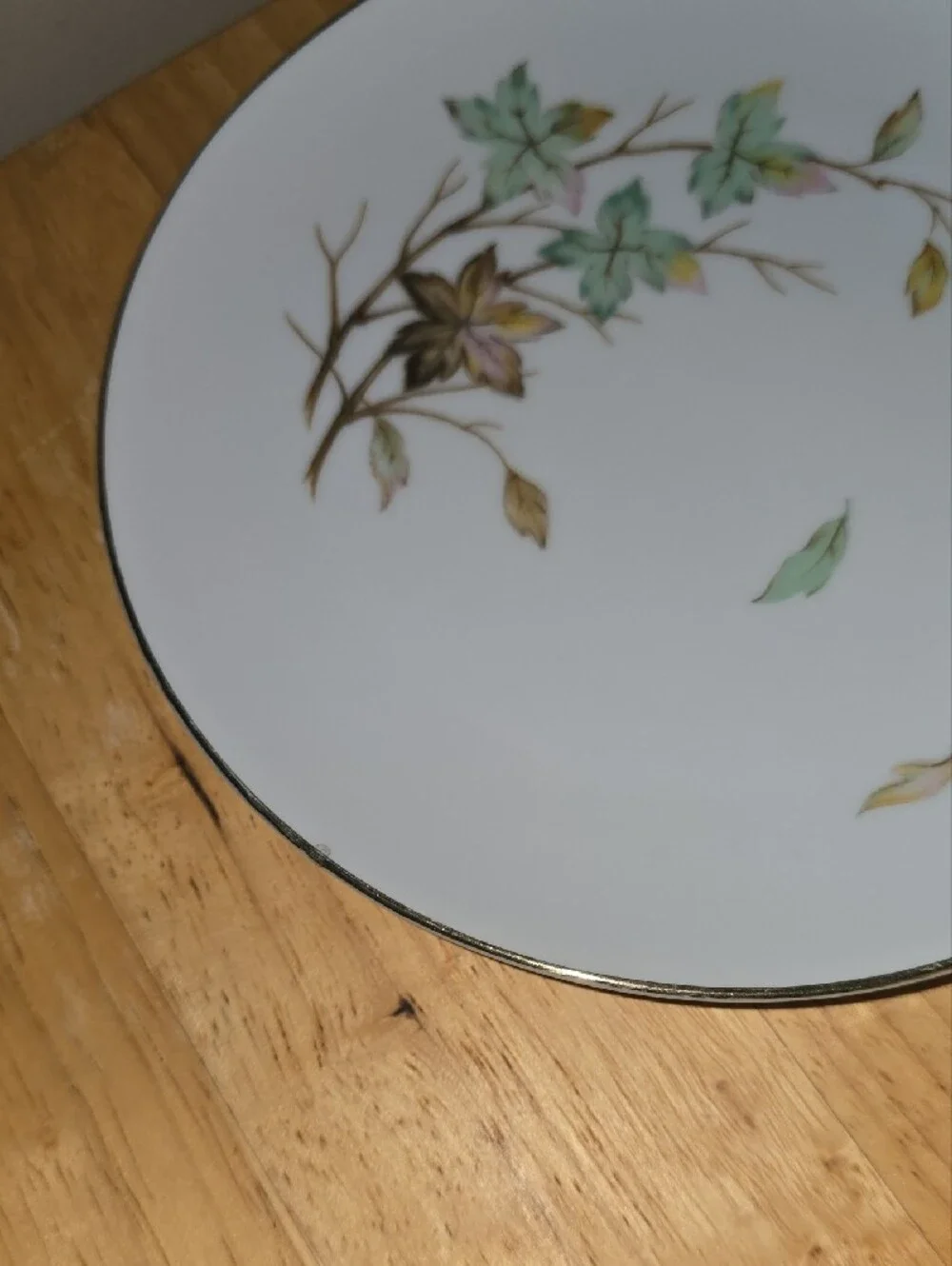 Porcelain Dinner Plate Set By Halsy Fine China
